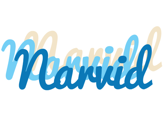 Narvid breeze logo