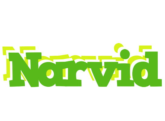 Narvid picnic logo