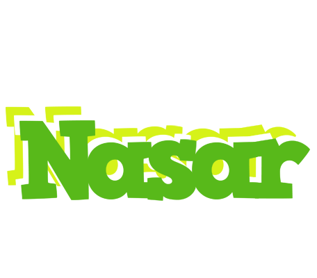 Nasar picnic logo