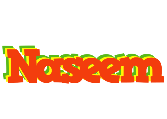 Naseem bbq logo
