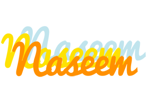 Naseem energy logo