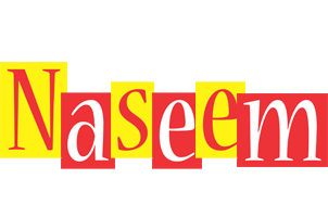 Naseem errors logo