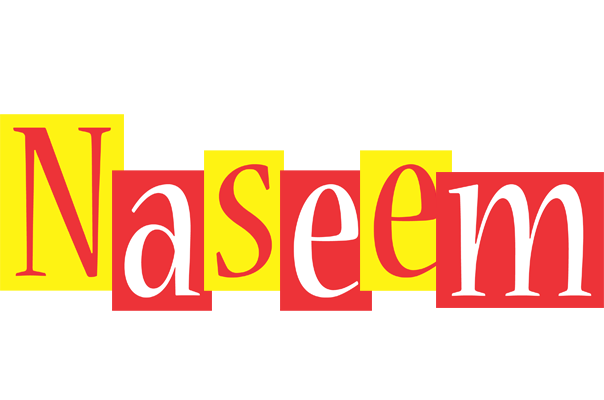Naseem errors logo