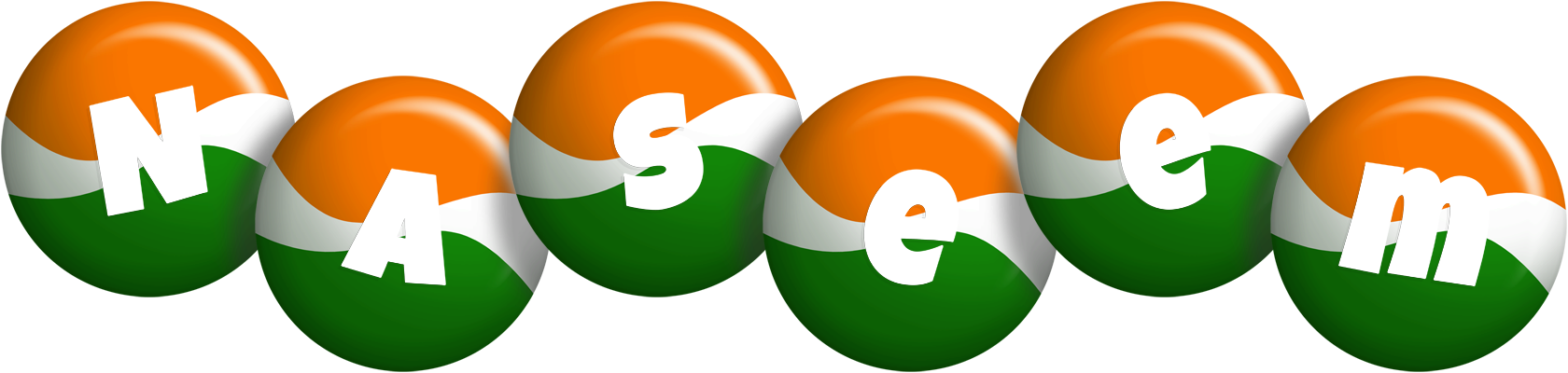 Naseem india logo