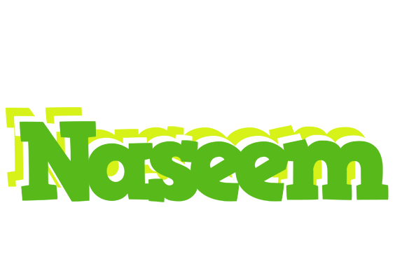 Naseem picnic logo