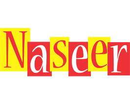 Naseer errors logo