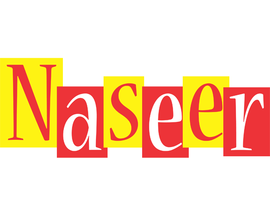 Naseer errors logo