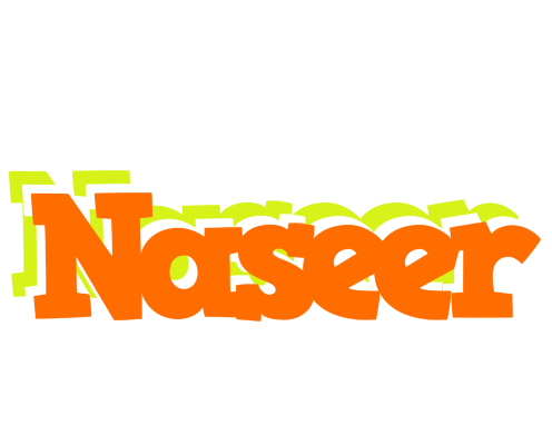 Naseer healthy logo