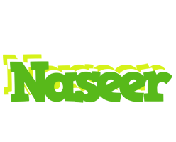 Naseer picnic logo