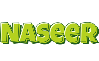 Naseer summer logo