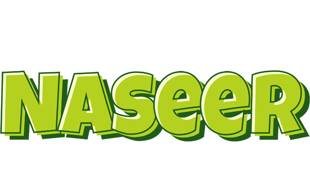Naseer summer logo