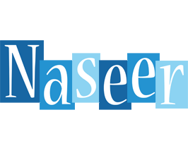 Naseer winter logo