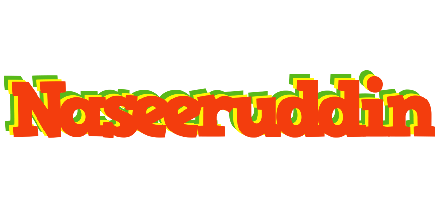 Naseeruddin bbq logo