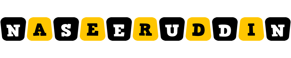 Naseeruddin boots logo