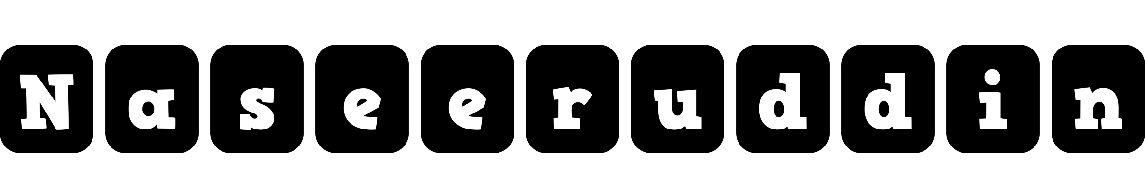 Naseeruddin box logo