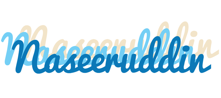 Naseeruddin breeze logo