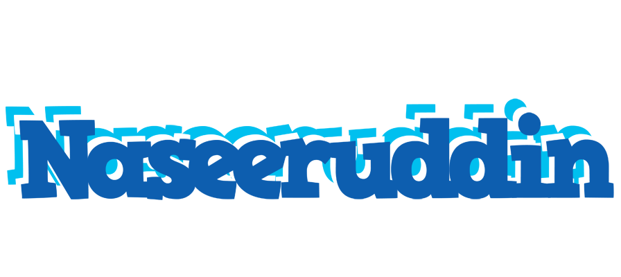Naseeruddin business logo