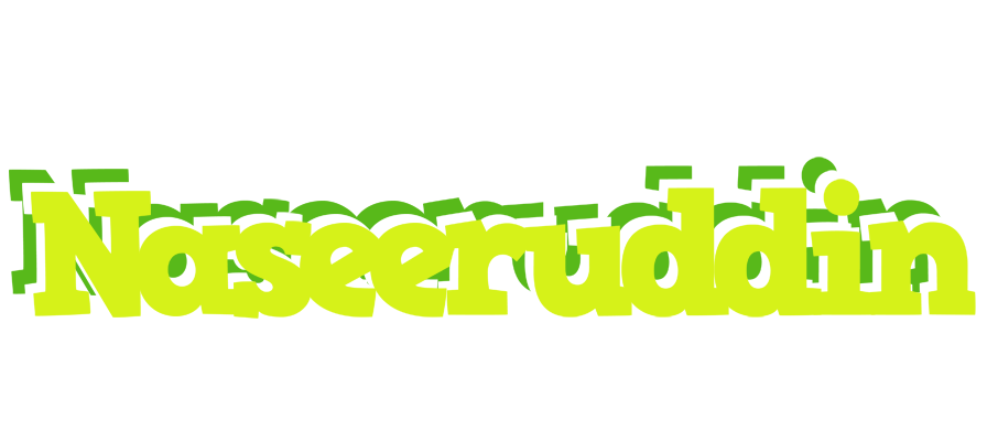 Naseeruddin citrus logo