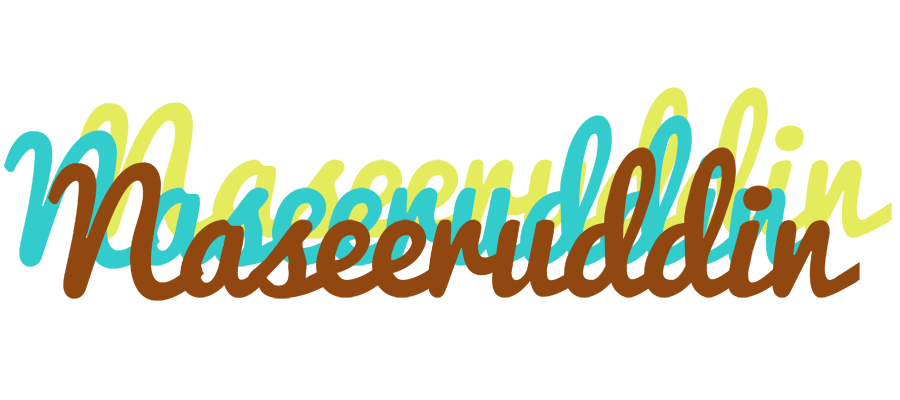 Naseeruddin cupcake logo