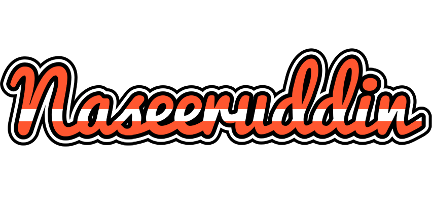 Naseeruddin denmark logo
