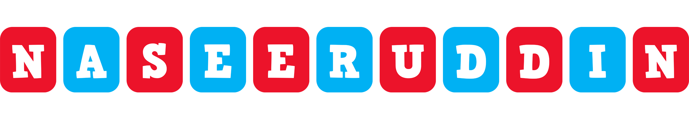 Naseeruddin diesel logo