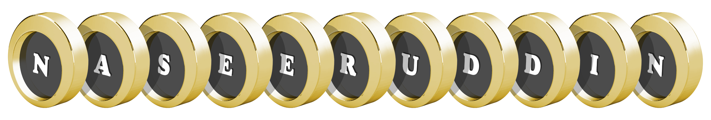 Naseeruddin gold logo