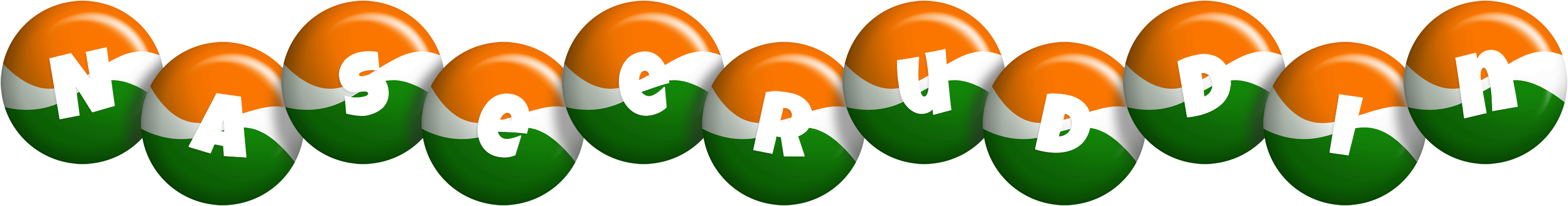 Naseeruddin india logo