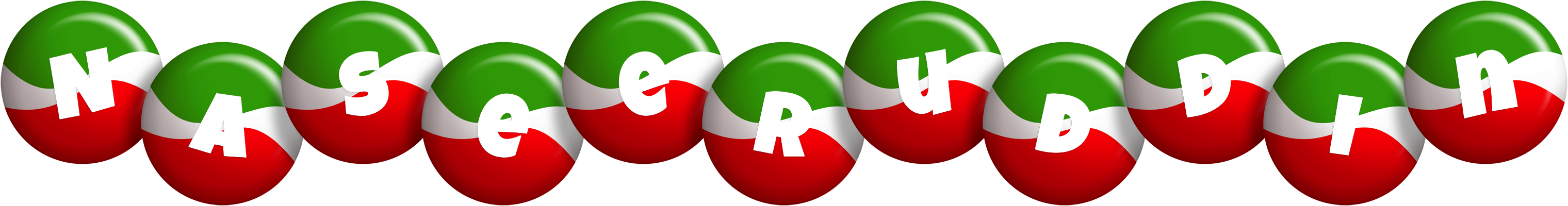 Naseeruddin italy logo