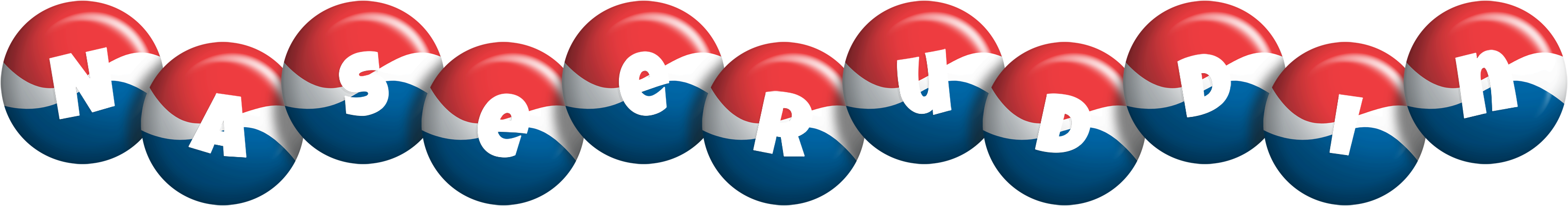 Naseeruddin paris logo