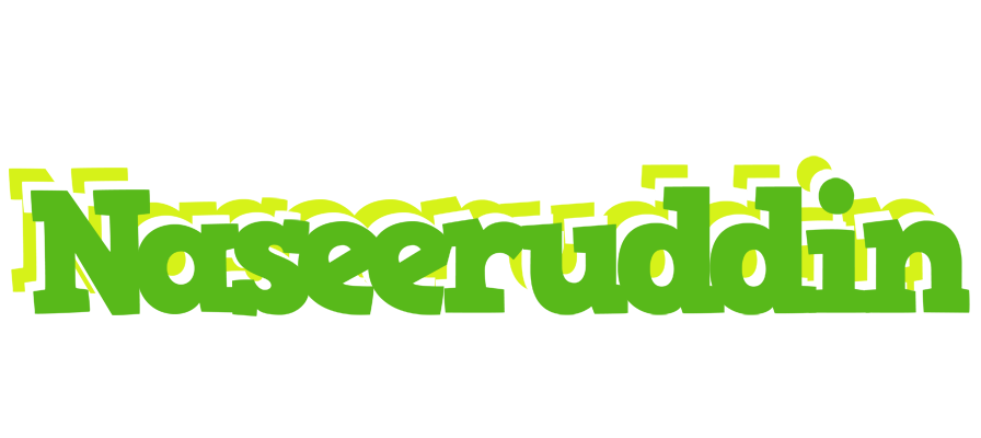 Naseeruddin picnic logo