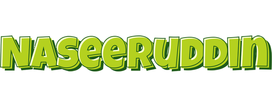 Naseeruddin summer logo