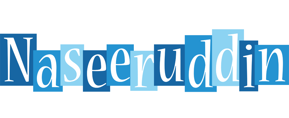 Naseeruddin winter logo