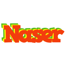 Naser bbq logo