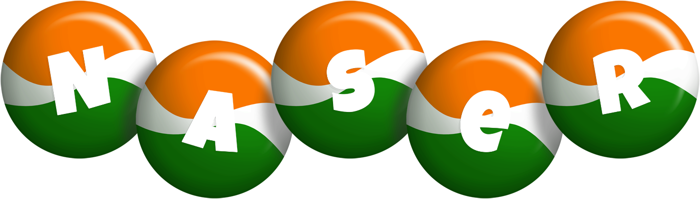 Naser india logo