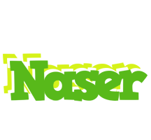 Naser picnic logo