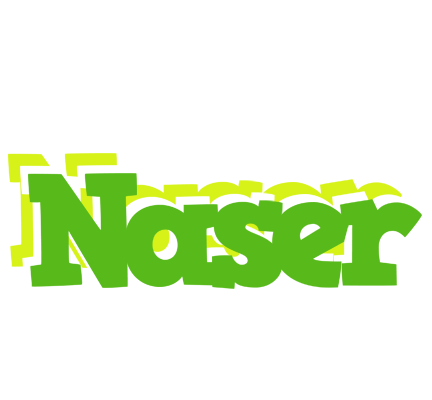 Naser picnic logo