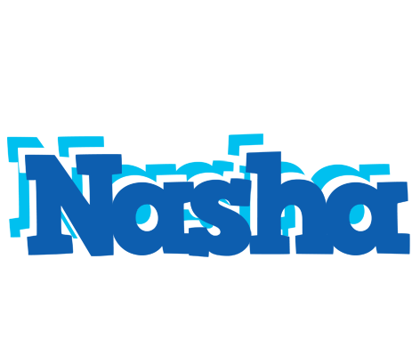 Nasha business logo