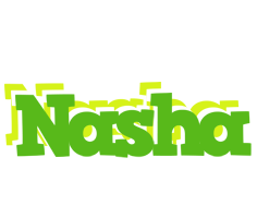 Nasha picnic logo