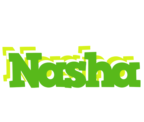 Nasha picnic logo