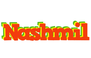 Nashmil bbq logo