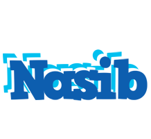 Nasib business logo