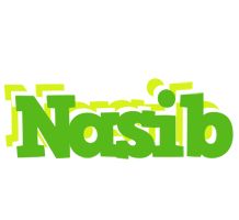 Nasib picnic logo