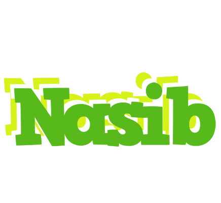Nasib picnic logo