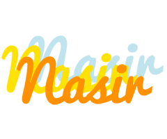 Nasir energy logo