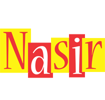 Nasir errors logo