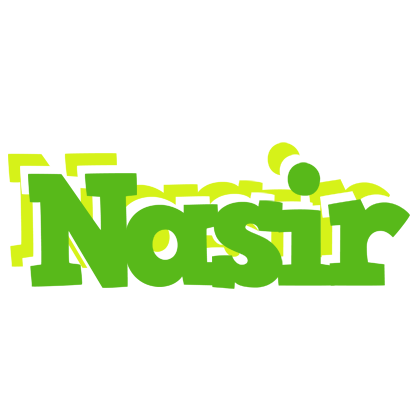 Nasir picnic logo