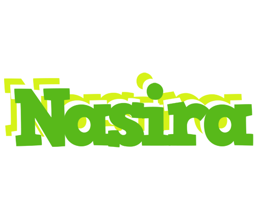 Nasira picnic logo