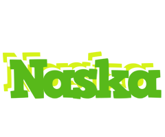 Naska picnic logo