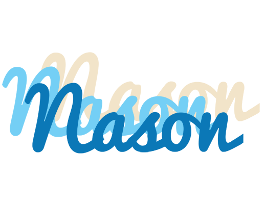 Nason breeze logo