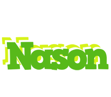 Nason picnic logo